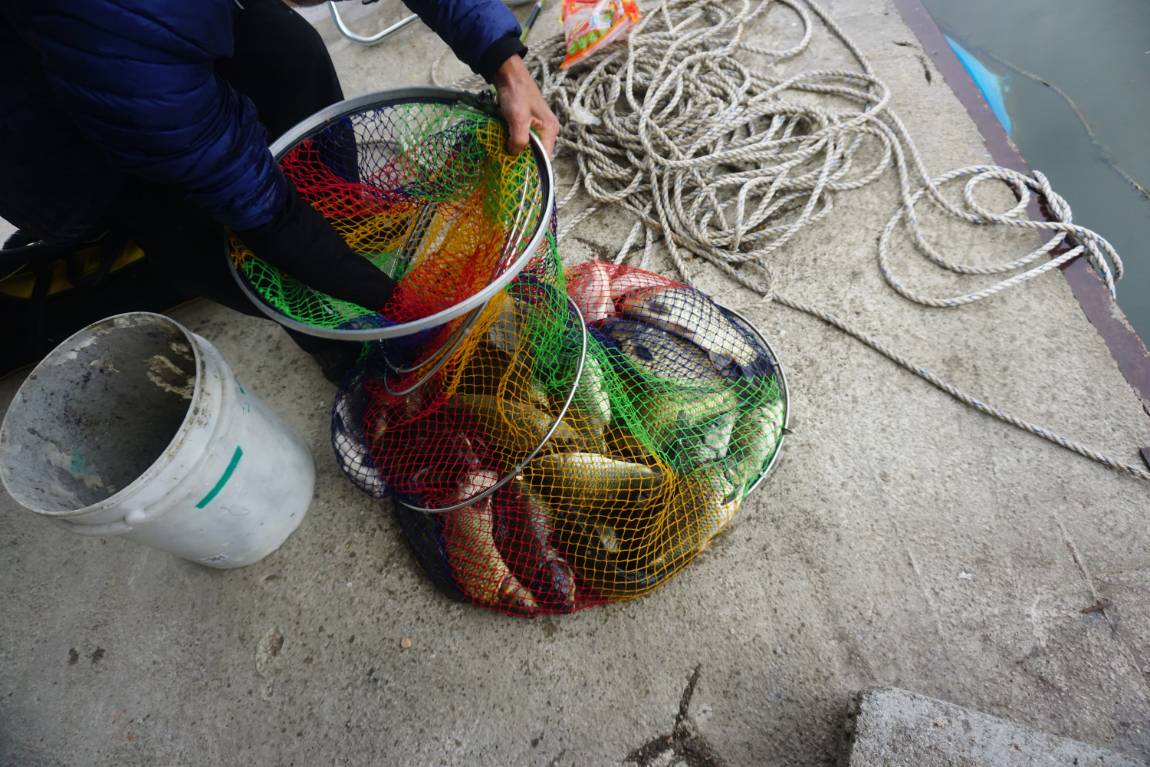 비오는 날은 다르네요~~