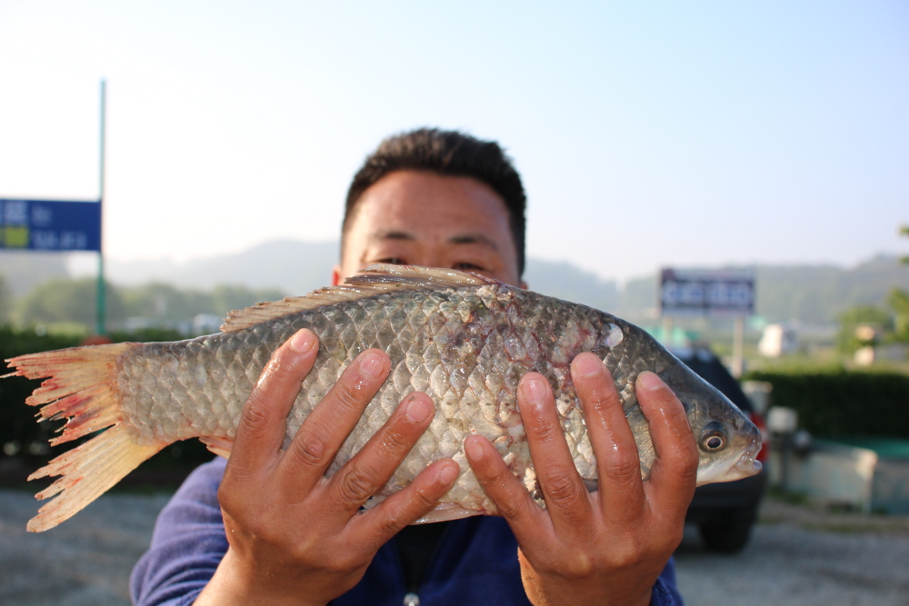 [크기변환]IMG_1149.JPG