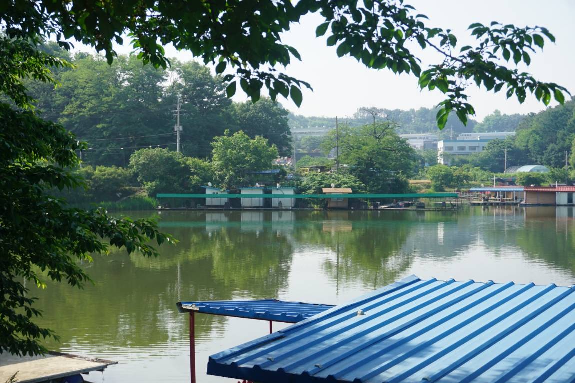 넣는 날, 나온다