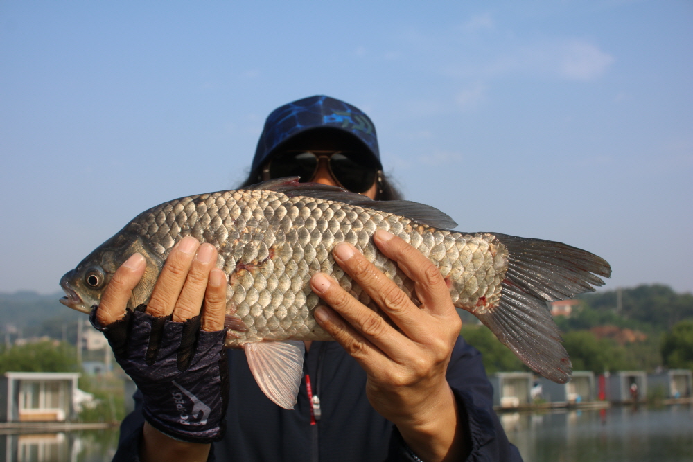[크기변환]IMG_1519.JPG