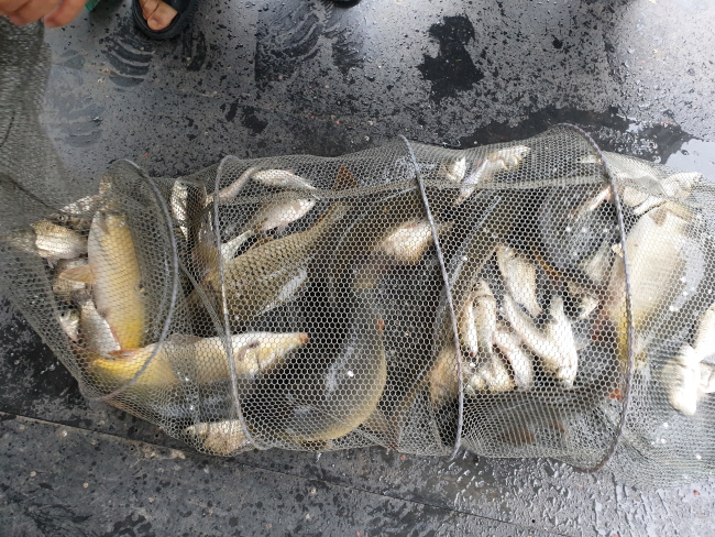   (3)-20210531_105044.jpg