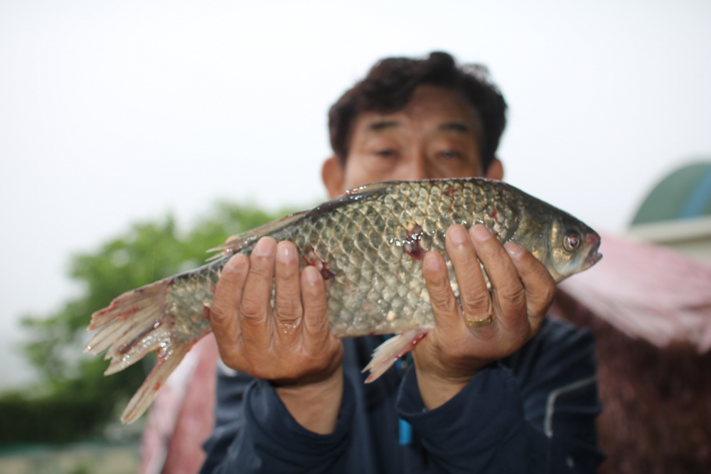 [크기변환]IMG_1613.JPG
