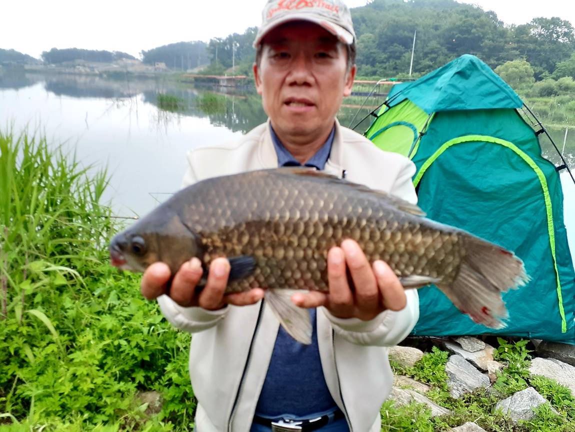 KakaoTalk_20210607_131754938.jpg
