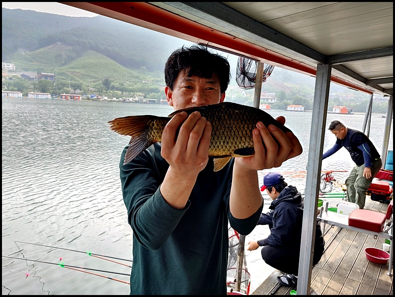 아산 산들낚시터의 6월 13일에 올리는조황 및 방류 모습입니다.