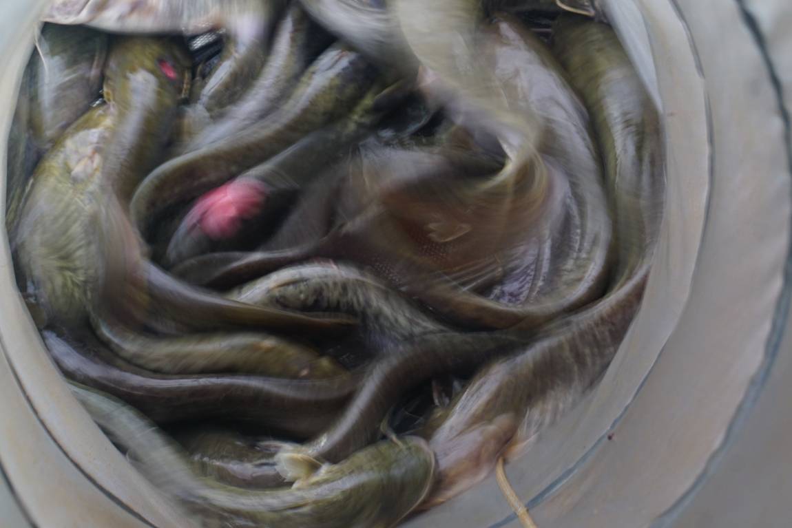 낚시하기 좋은 주말