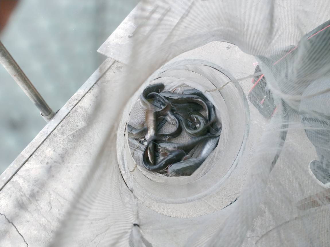 안성 독정낚시터 영끌 사진들~