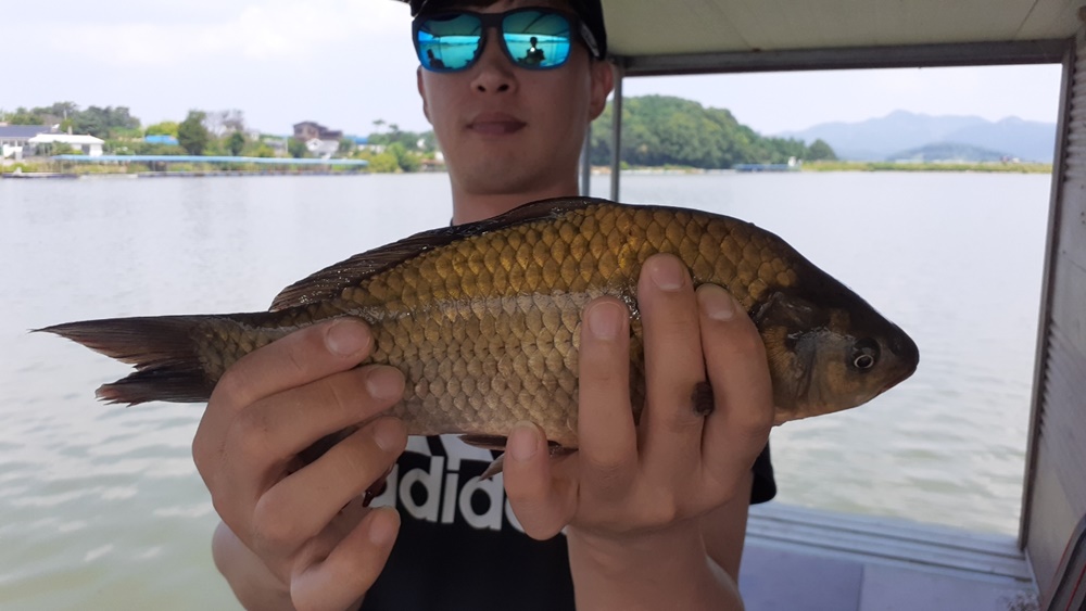 오목낚시터 유월 마지막주 조황입니다