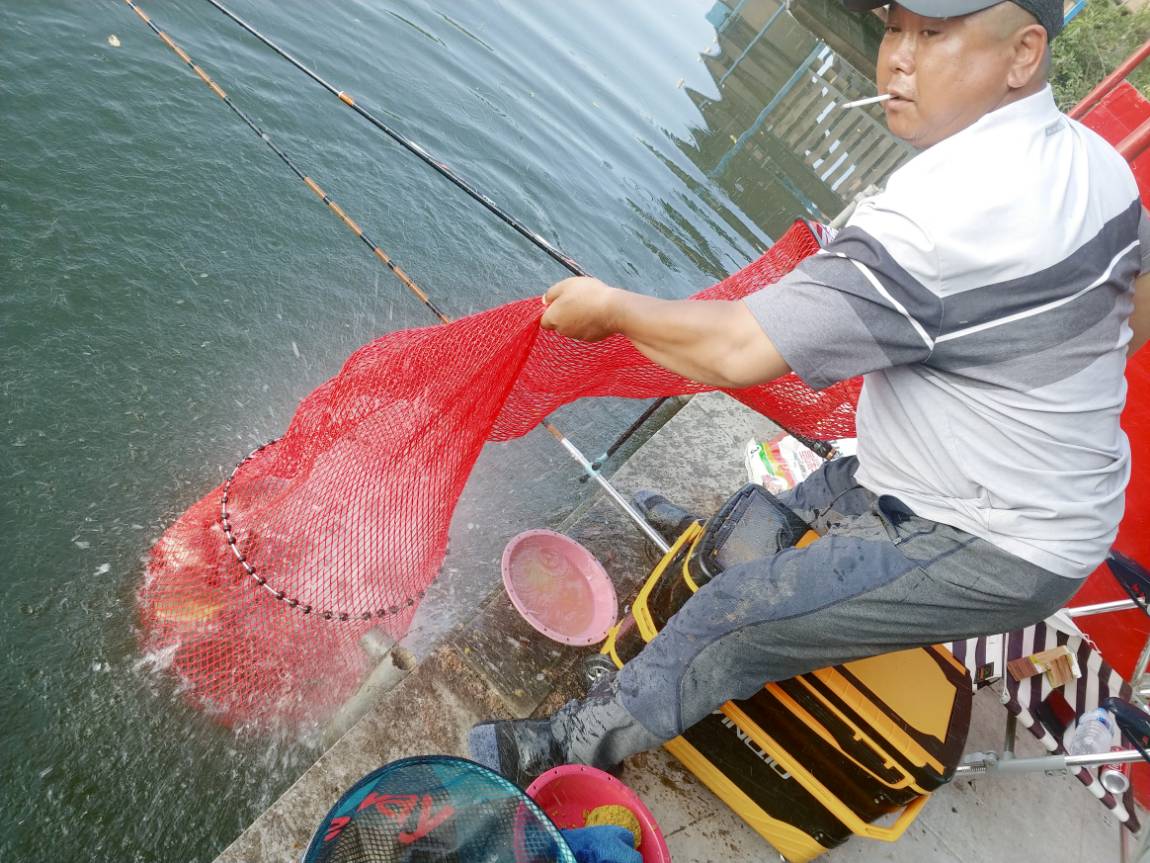 대박조황이 이어지네요~