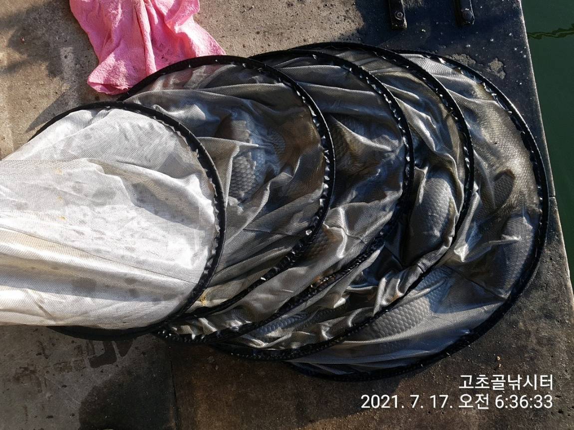 1626479026784-9.jpg