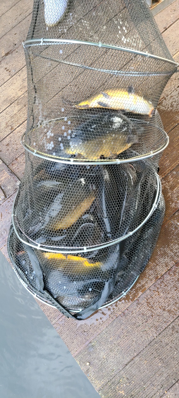 KakaoTalk_20210720_132838236.jpg