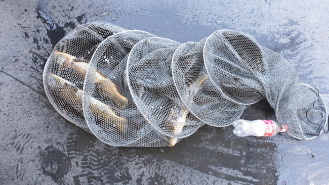  -20210724_105443.jpg