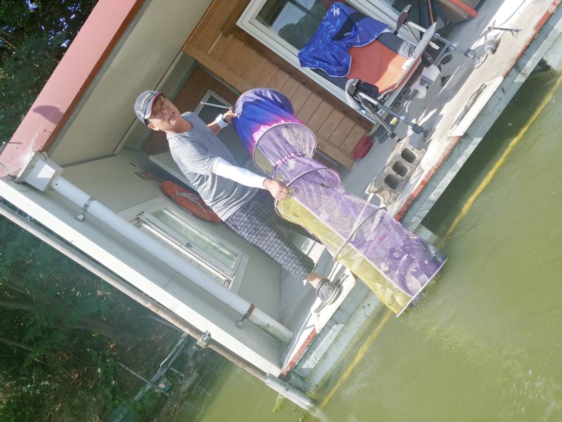 붕어위주 그것도 토종위주