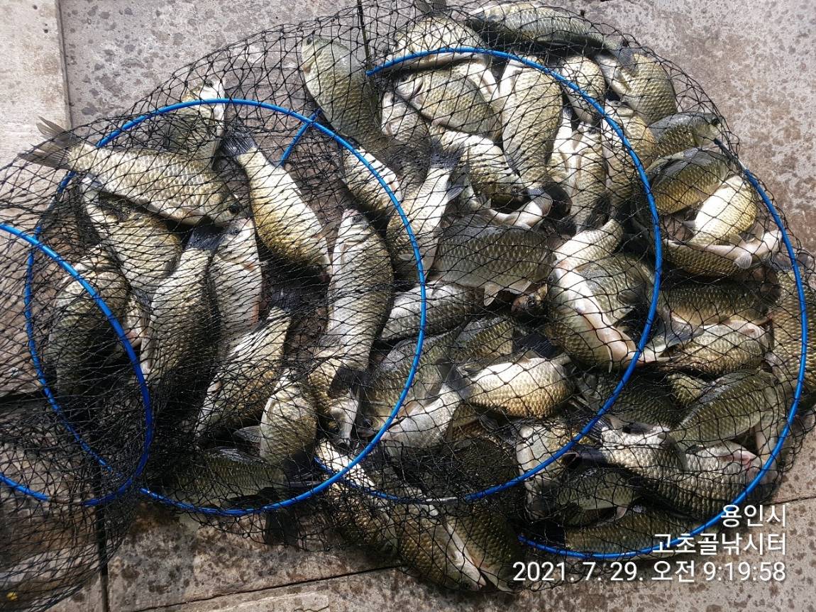 1627520514181-1.jpg