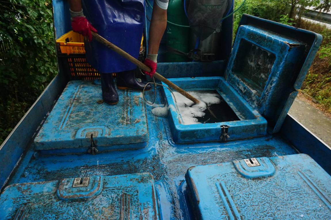 토종붕어만 방류~