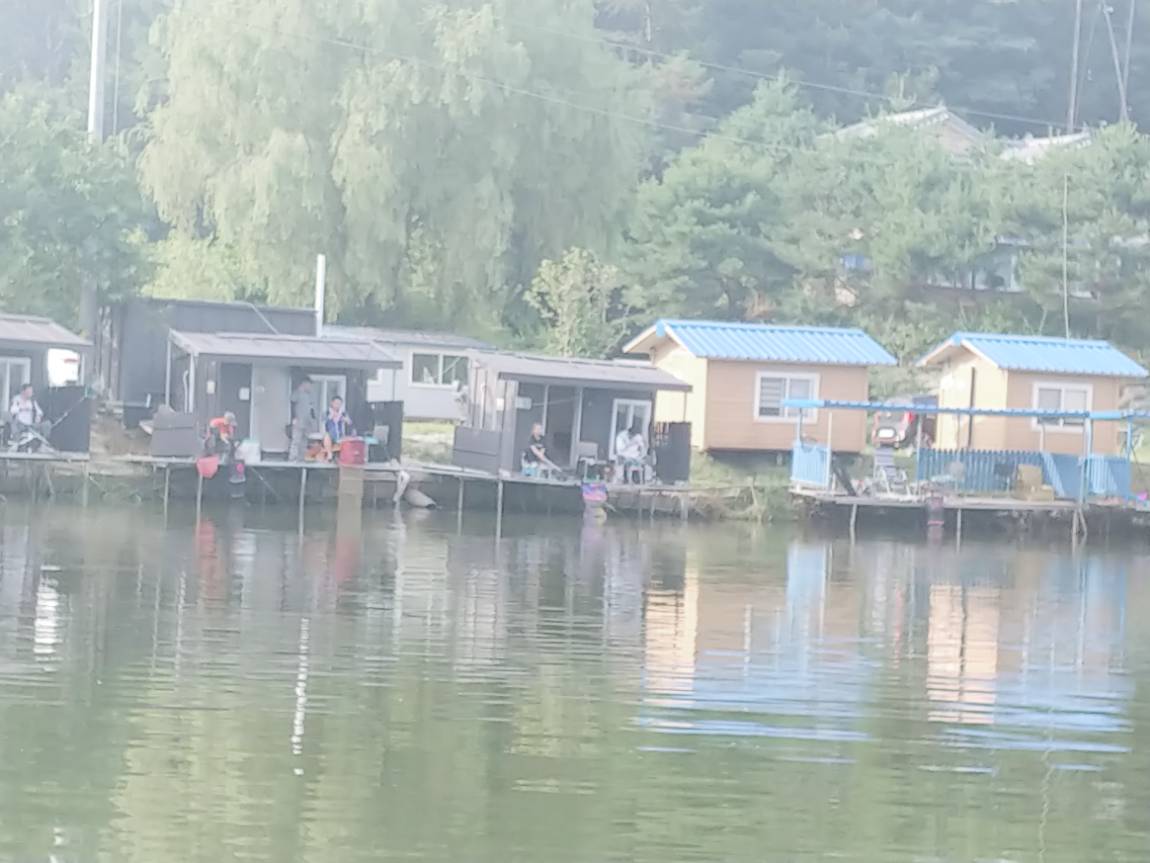 토종붕어를 백마리이상 깔 수 있는 독정