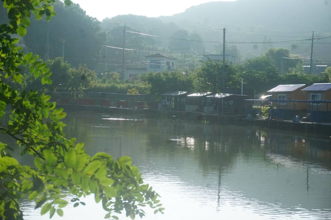 붕어만 천마리정도 잡았네요~~