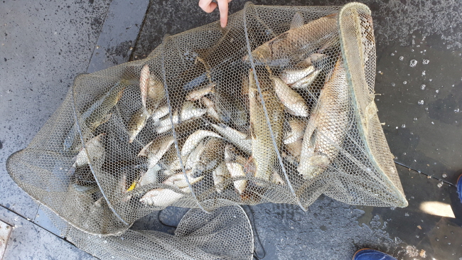 송석지8월15일-20210810_102600.jpg