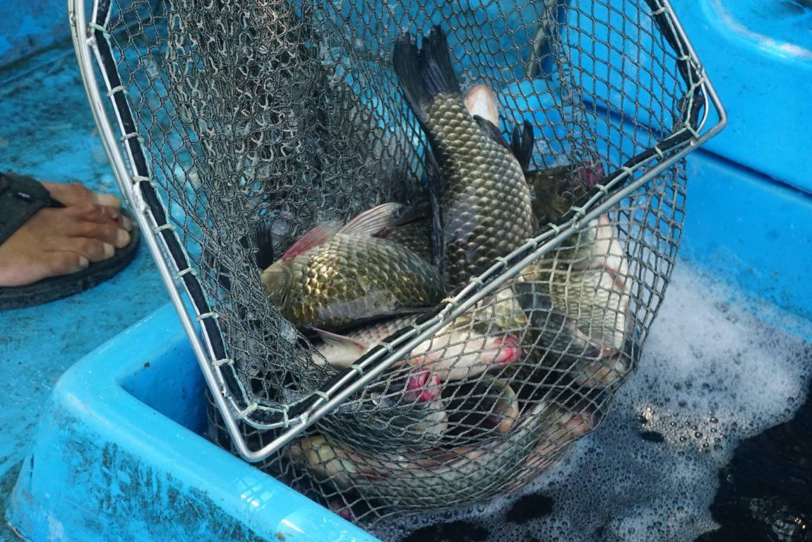 자연산으로 장사해요~