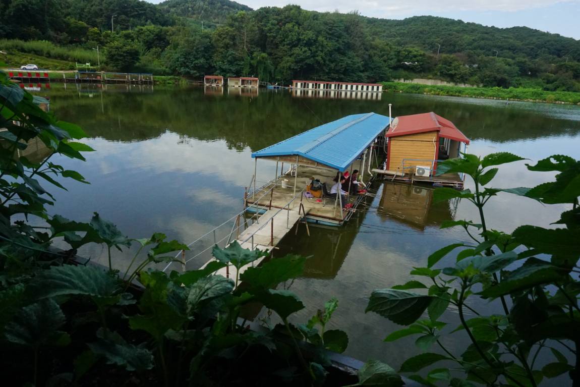 안성 독정낚시터 꿀비가 내렸습니다