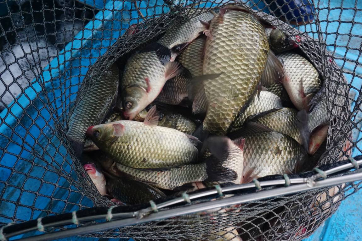 대박 조황을 위해 빌드업 중~