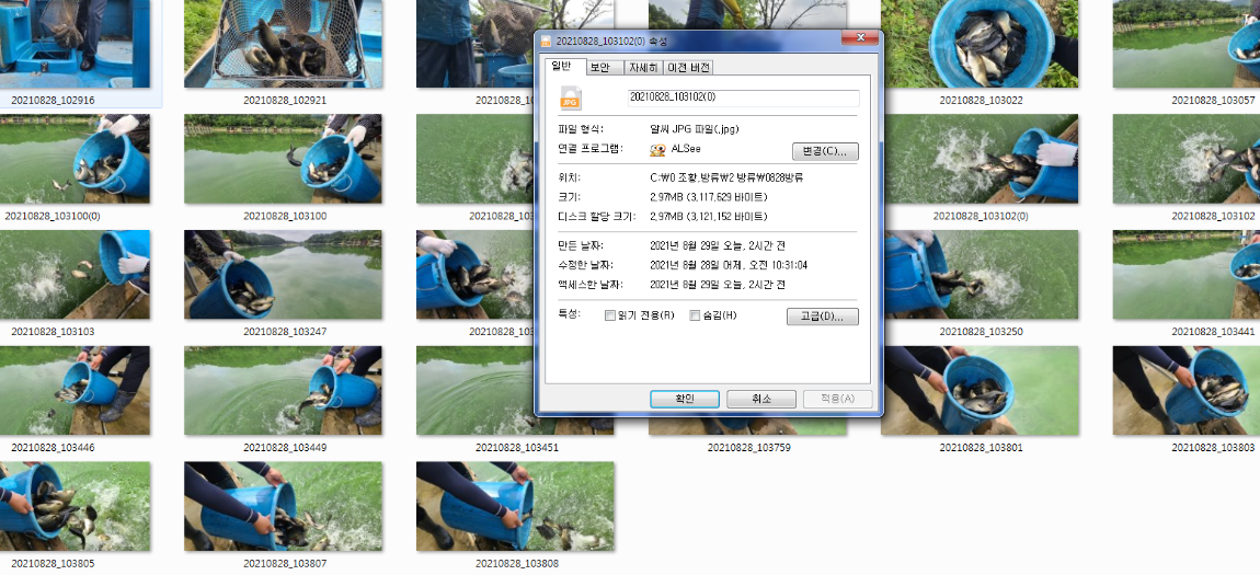 이미지 1.png