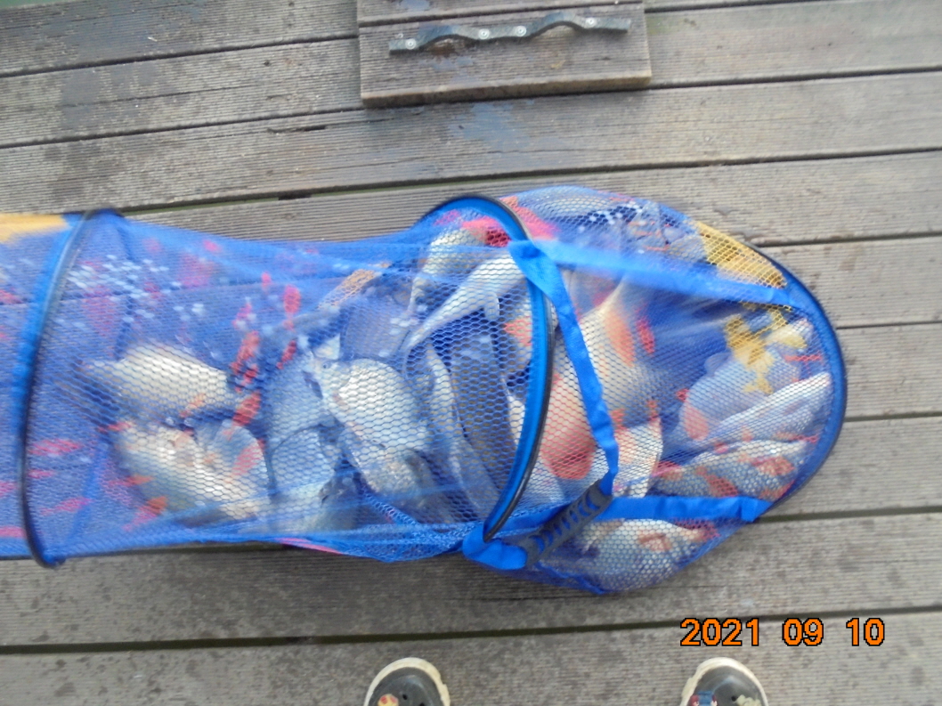 ϰ_DSC01239.JPG