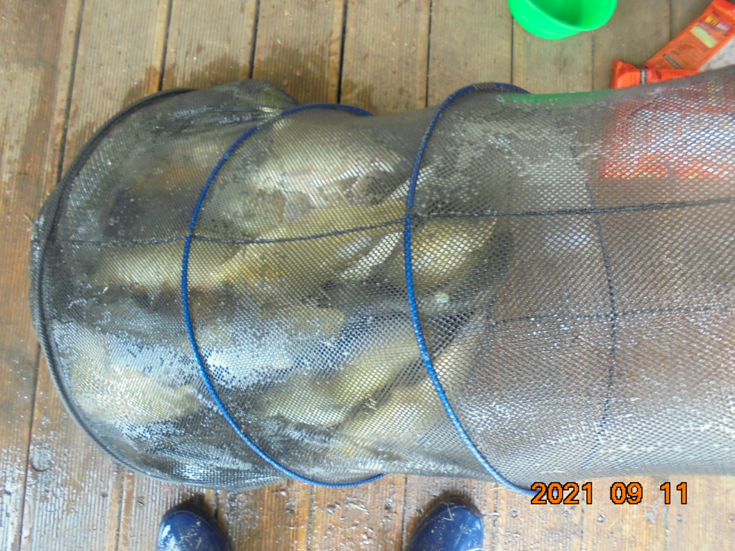 ϰ_DSC01253.JPG