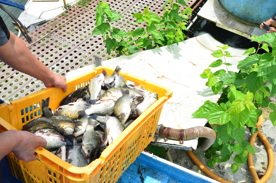 DSC_2009.JPG