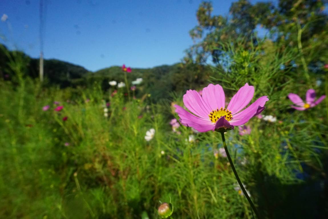 대물을 낚을 수 있는 좋은 기회