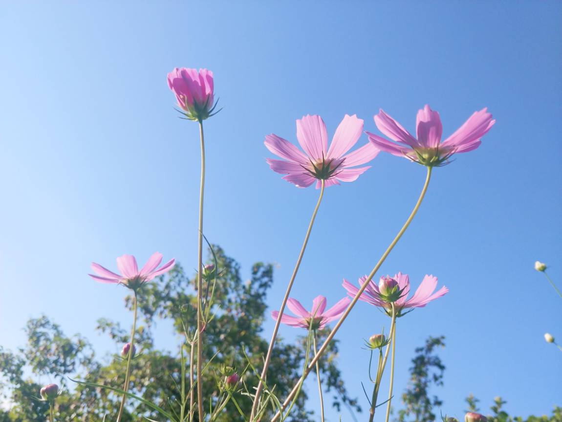 가을가을합니다