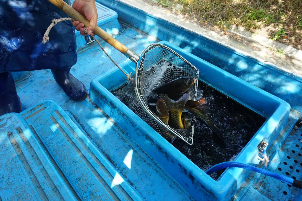 이틀 남았습니다