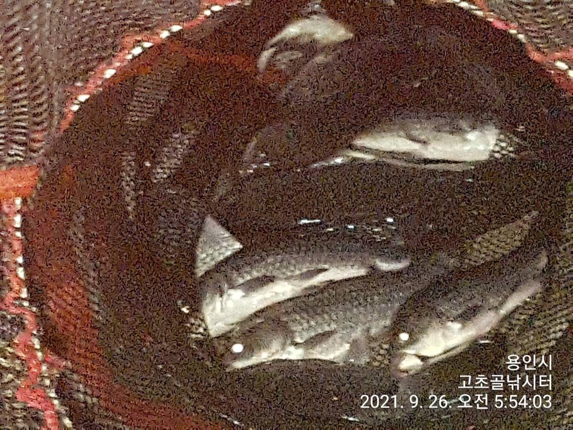 1632614682302-16.jpg