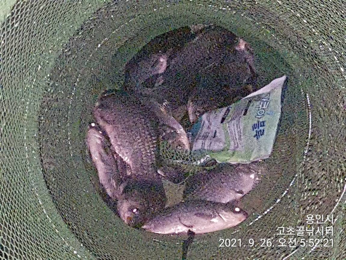 1632614682302-14.jpg