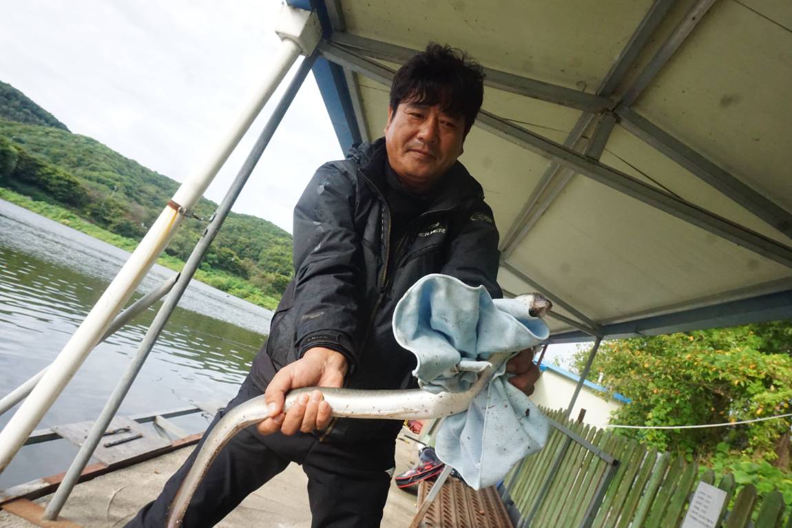 장어가 굵어지네요~