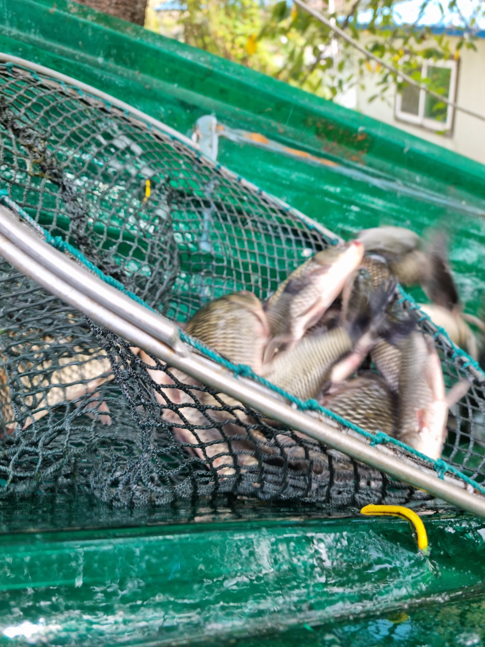 빌드업중입니다