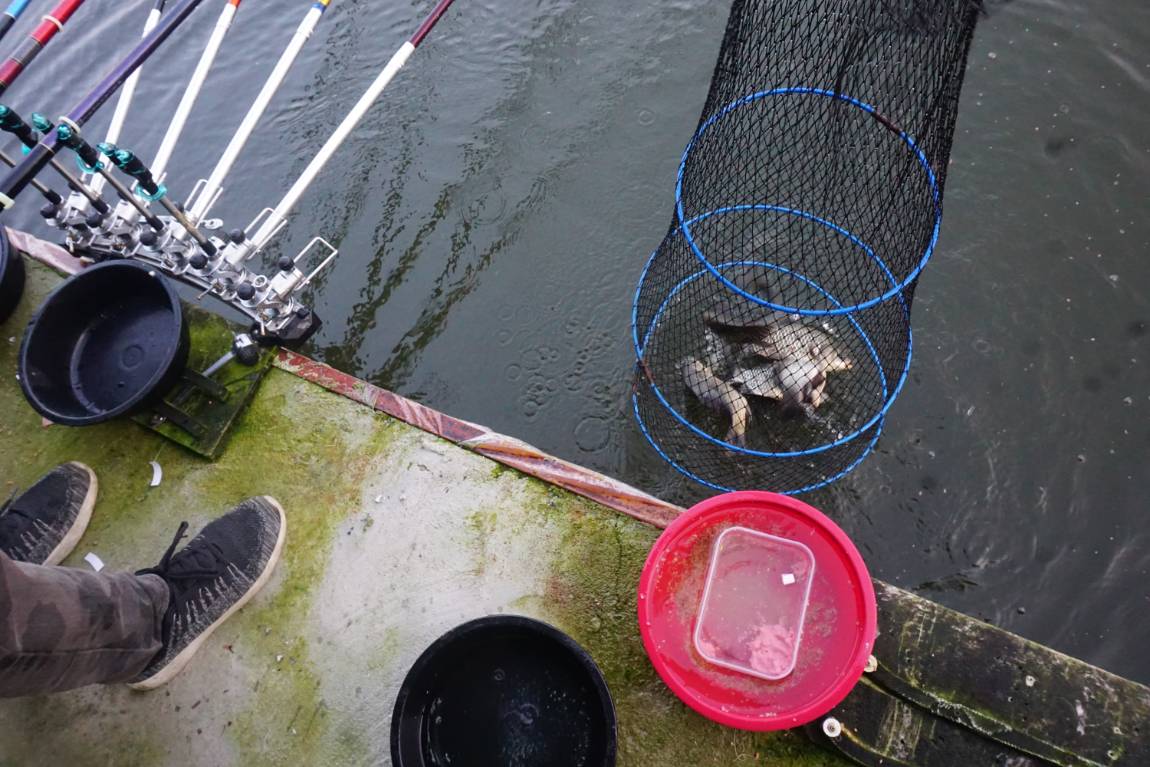 붕어판이로구나