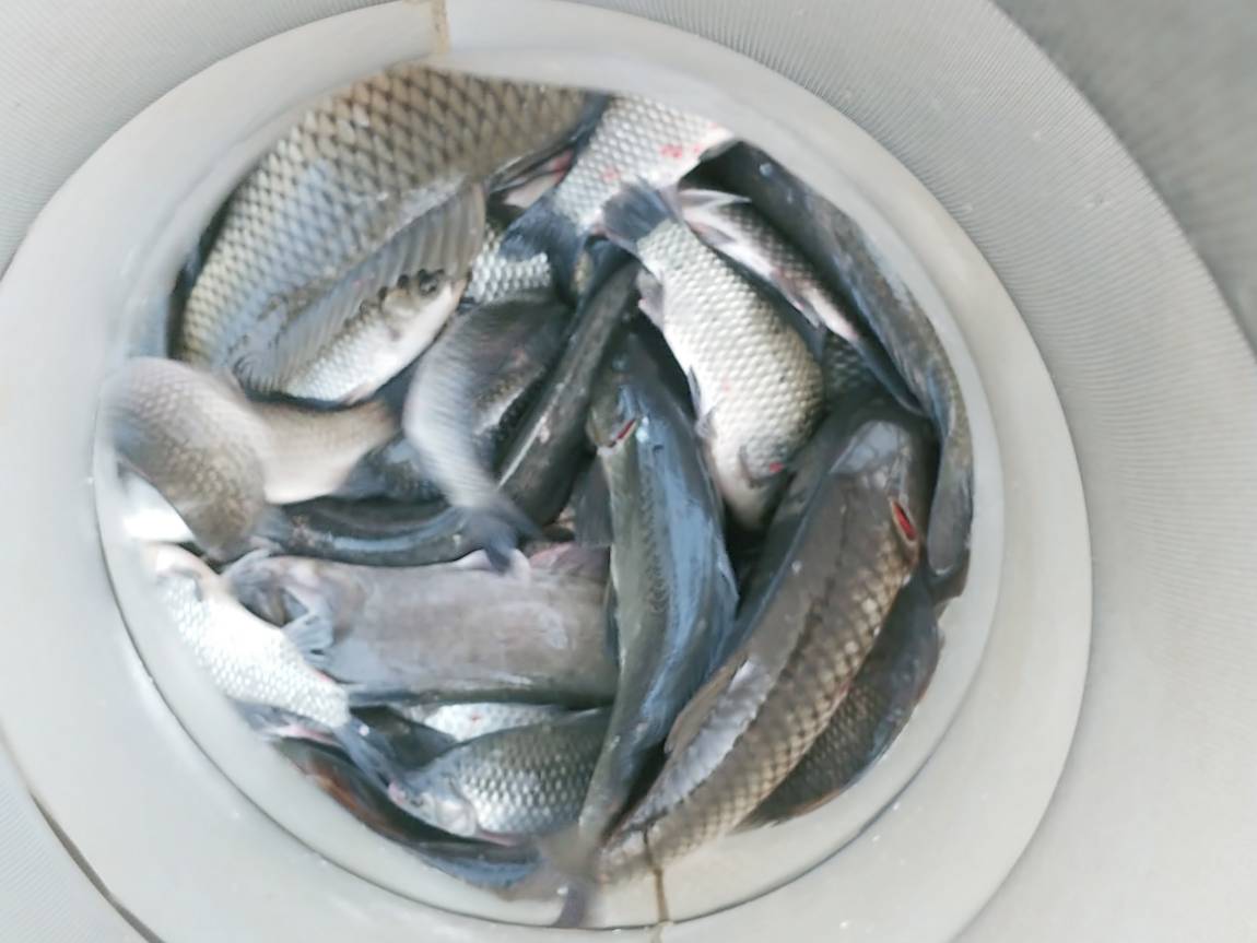 월척이 아쉽습니다