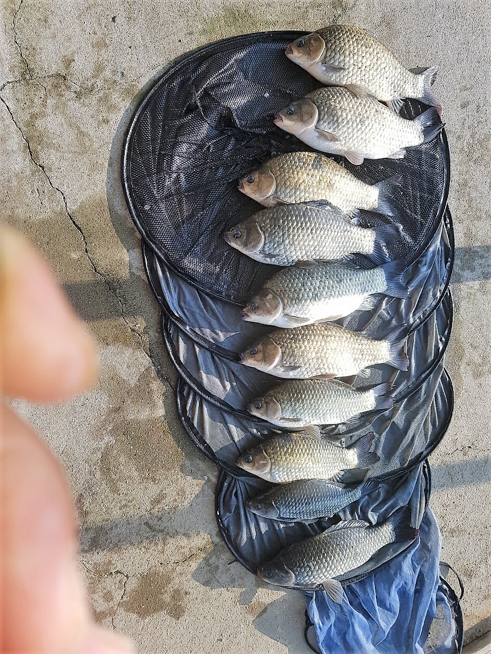 KakaoTalk_20211014_090045835.jpg