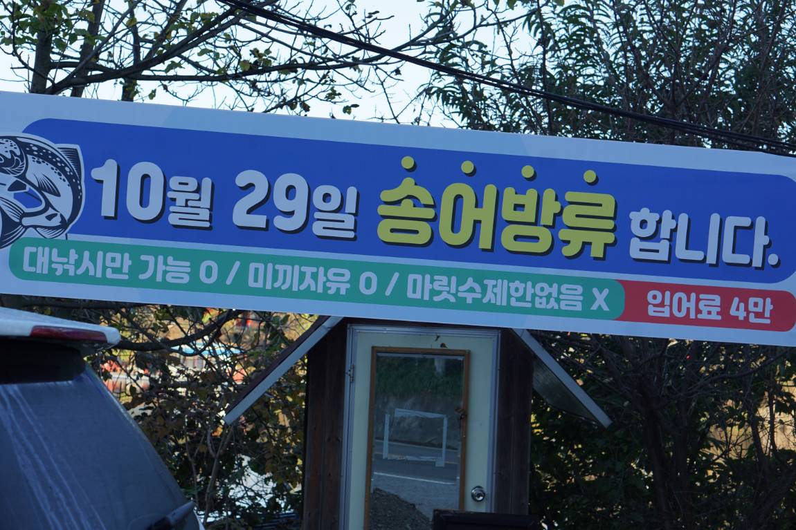 붕어에 송어를 더하다