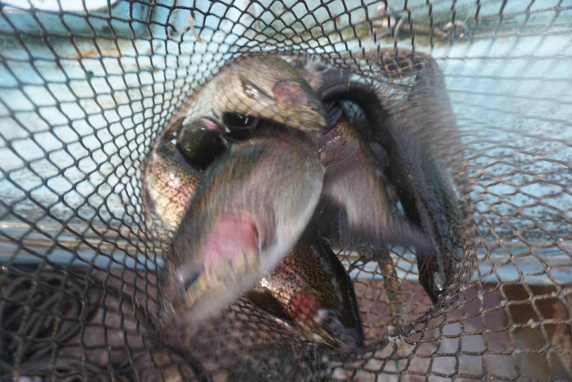 잡탕터의 진면목