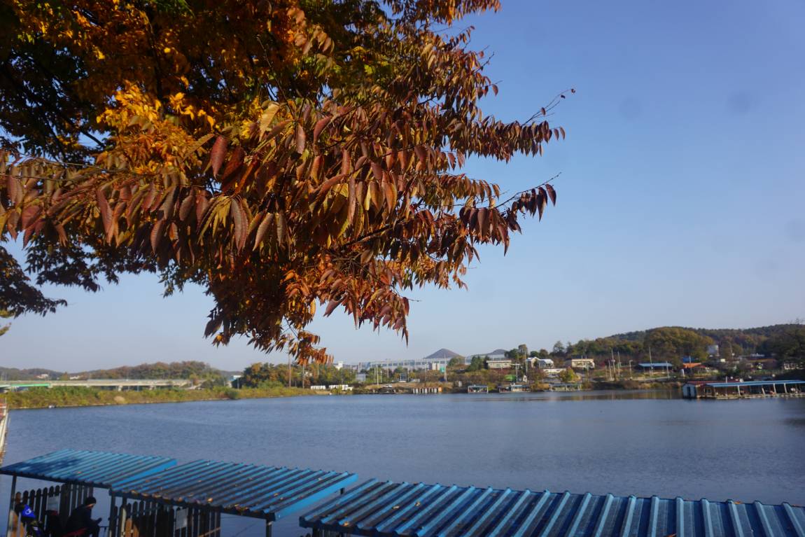 50떡, 50메기 3장어