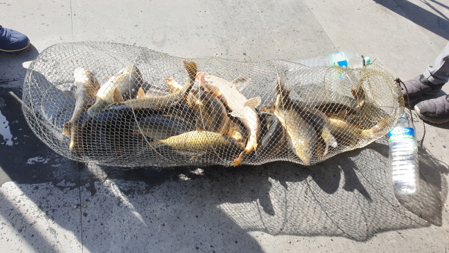 �� ����-20211107_110740.jpg