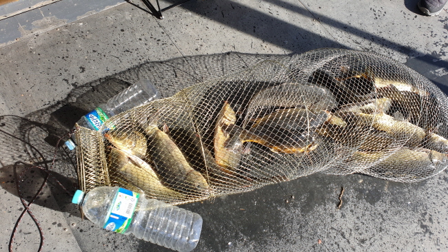 �� ����-20211107_110835.jpg