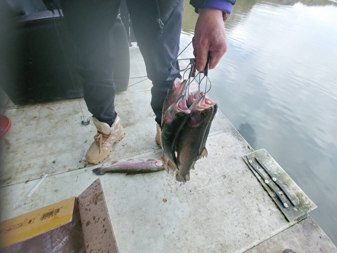 송어랑~ 붕어랑~