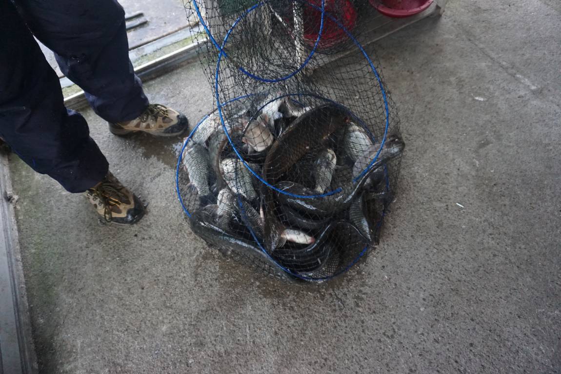 아직 안 끝났어요~