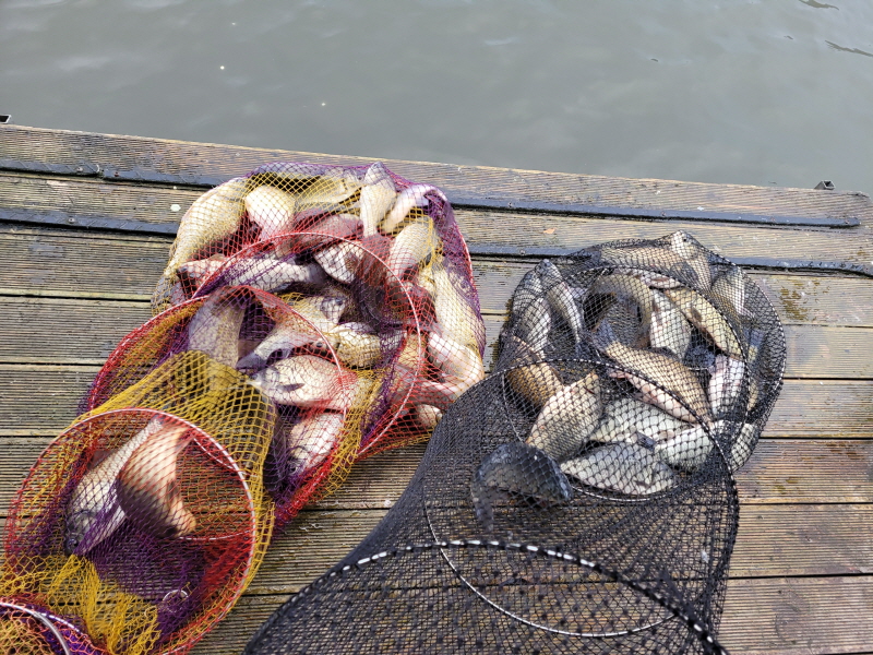 아산 산들낚시터의 12월1일 부터 좌대 가격 인하에 들어갑니다.