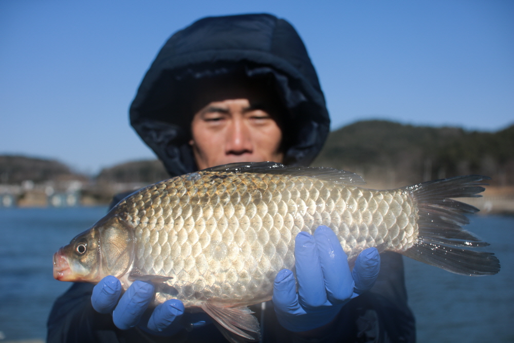 [크기변환]IMG_2247.JPG