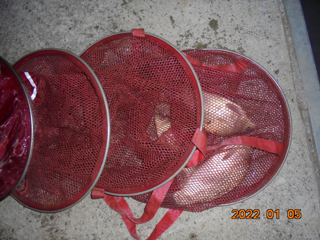 ϰ_DSC00334.JPG