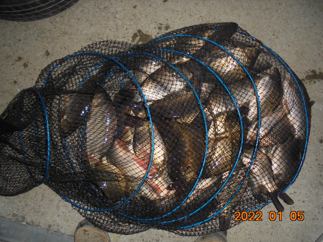 ϰ_DSC00331.JPG