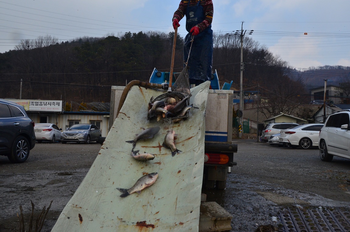 DSC_3514.JPG